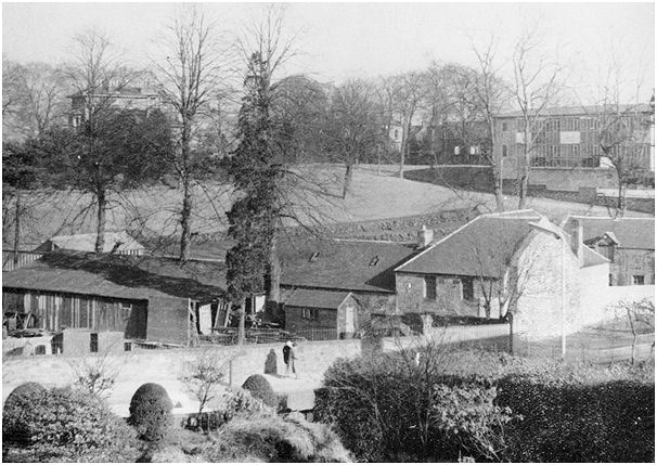 Westbank (4) stables