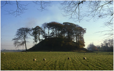 Illus 2: Dunipace Motte looking east with Larbert Parish Church in the distance on the left.  The river lies behind the trees on the right.